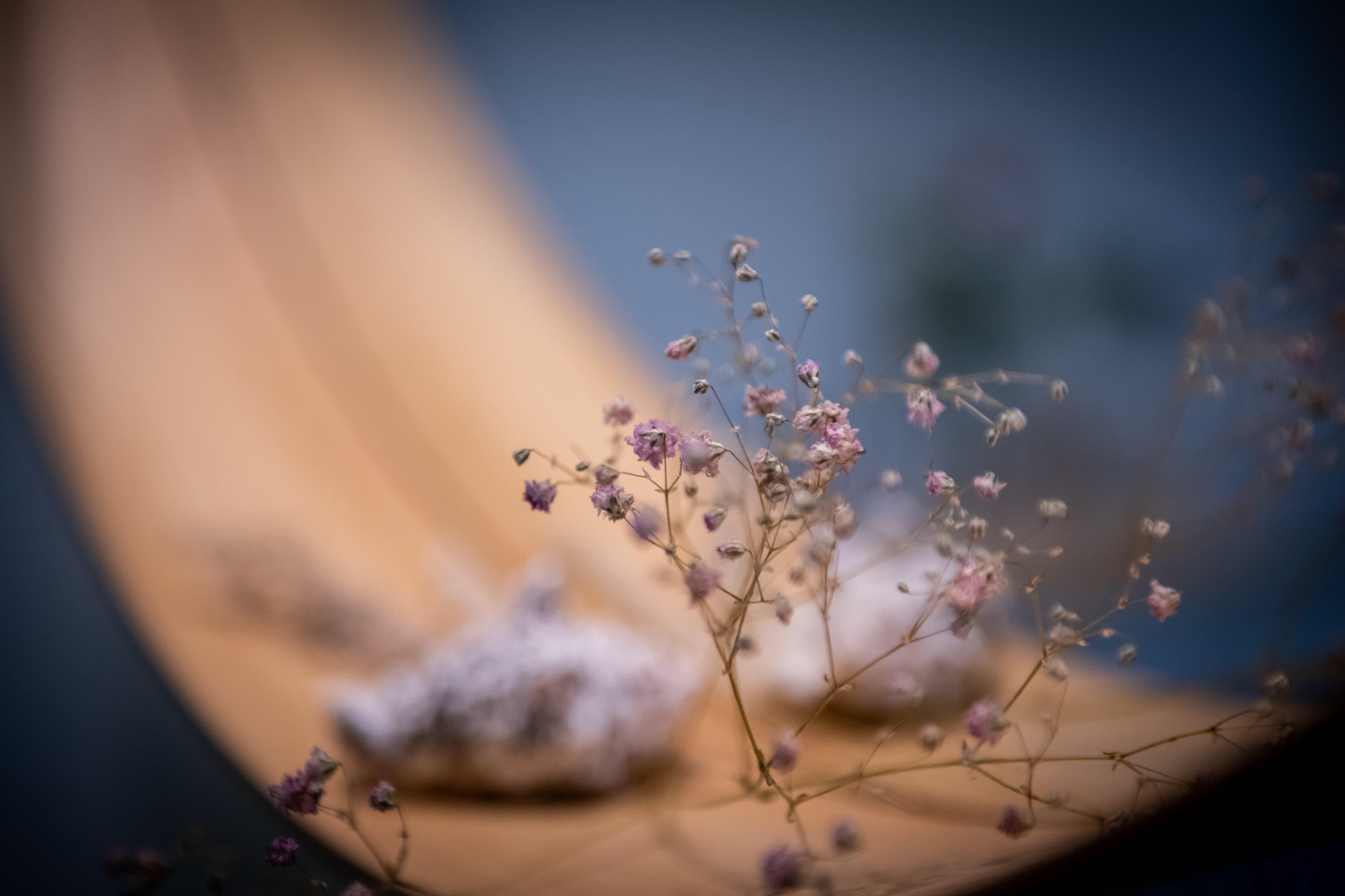 Eingang Samt & Seide