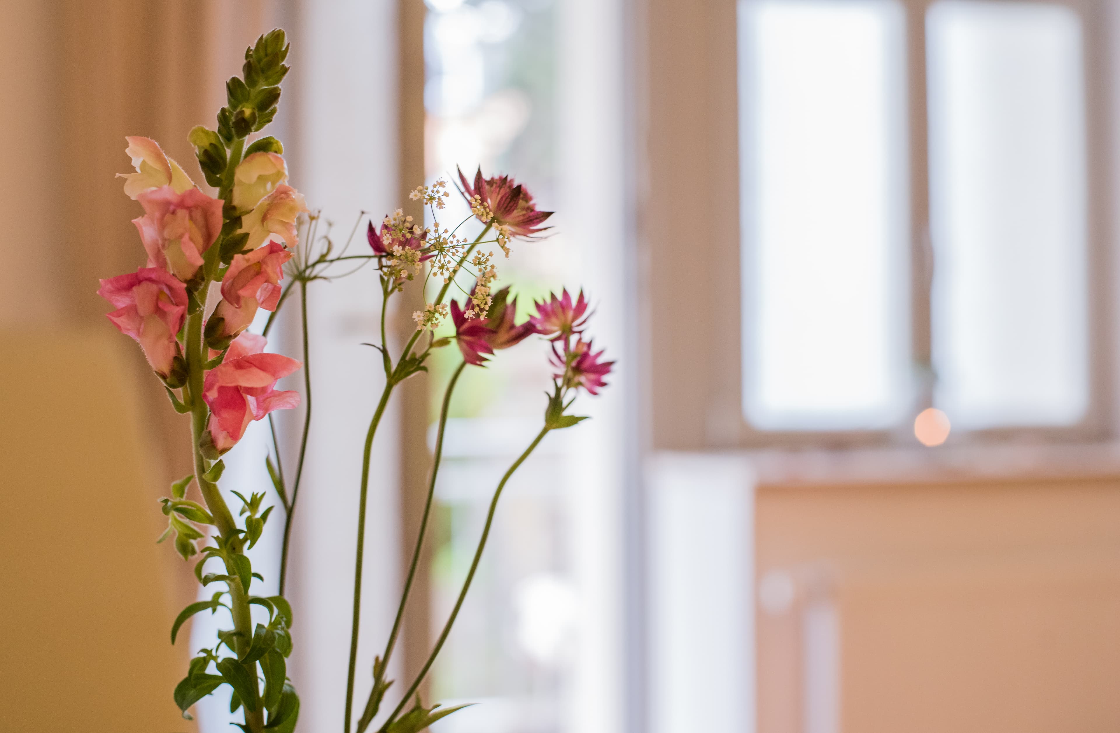 Wir ziehen um! Einladung zur Neueröffnung