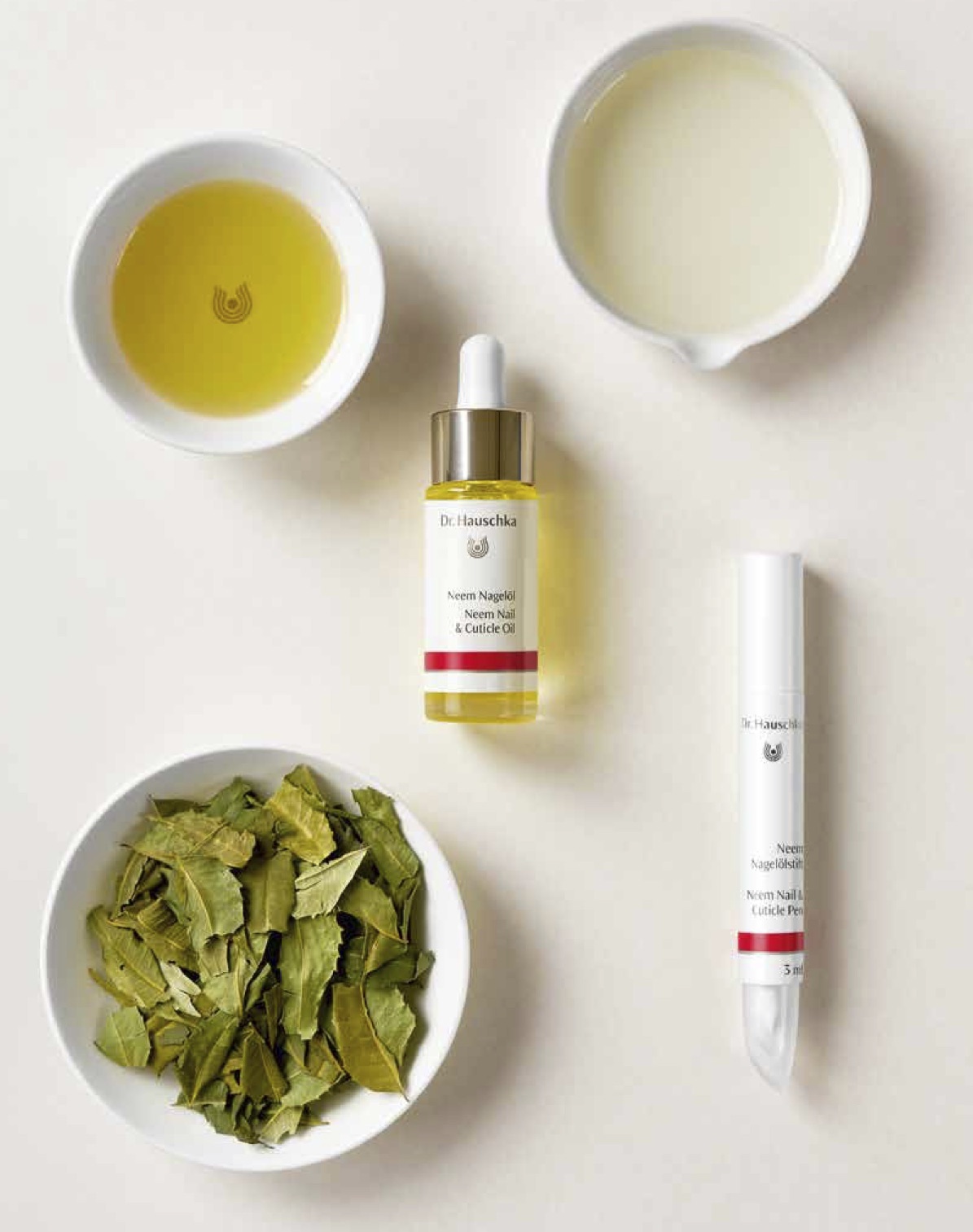 Bild 1 – Auch in der kalten Jahreszeit schön gepflegt bis in die Fingerspitzen