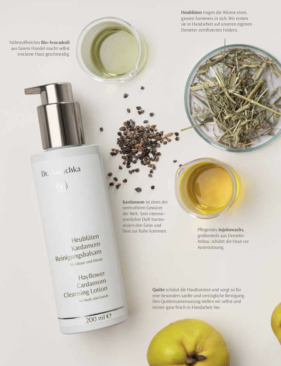 Bild 2 – Dr. Hauschka Duscherlebnisse - Geschenke für Haut und Seele